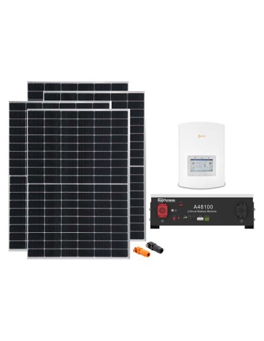 Serie Pro: vendita online Kit fotovoltaico monofase 6160W inverter Solis 6kW litio A48100 Dyness 4.8kWh