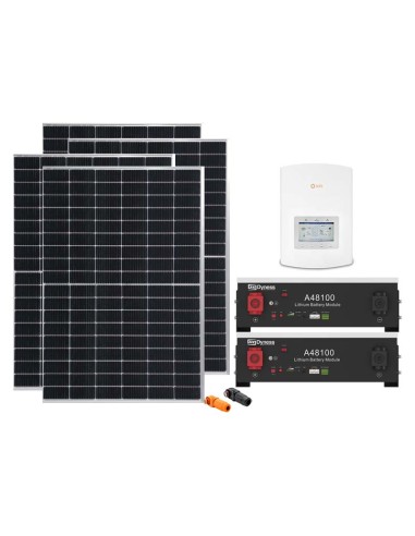 Serie Pro: vendita online Kit fotovoltaico monofase 6160W inverter Solis 6kW litio A48100 Dyness 9.6kWh