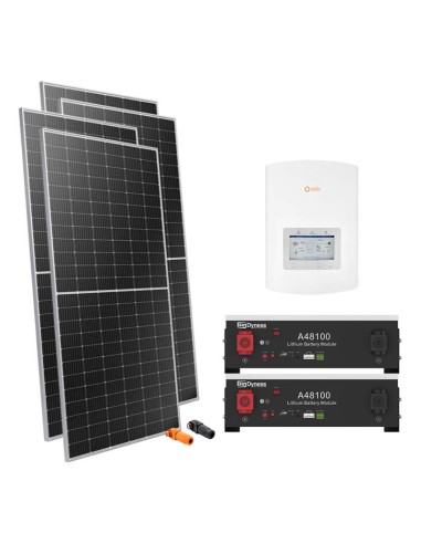 Serie Pro: vendita online Kit fotovoltaico monofase 5600W inverter Solis 5kW litio A48100 Dyness 9.6kWh