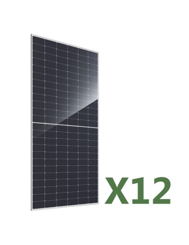 Set 12 Photovoltaik-Solarmodulen bifacial 585W Gesamt 7020W mono JA Solar