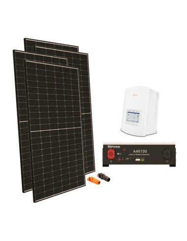 Serie Pro: vendita online Kit fotovoltaico monofase 4040W inverter Solis 3.6kW litio A48100 Dyness 4.8kWh