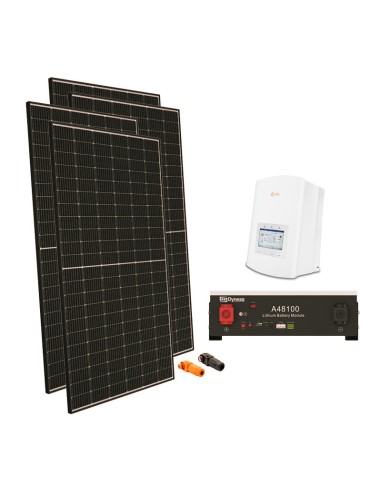 Kit photovoltaïque 4040W onduleur Solis 3.6kW lithium A48100 Dyness 4.8kWh