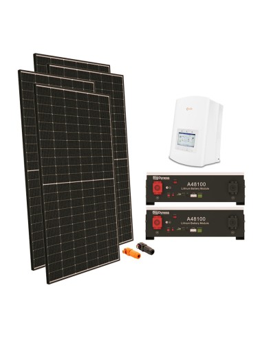 Serie Pro: vendita online Kit fotovoltaico monofase 4040W inverter Solis 3.6kW litio A48100 Dyness 9.6kWh