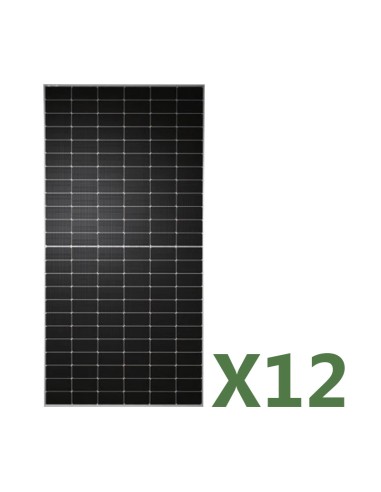 Set 12 panneaux solaire photovoltaïque 590W total 7080W monocristallin TW Solar