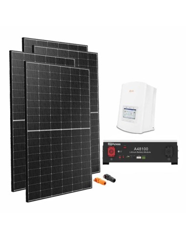 Serie Pro: vendita online Kit fotovoltaico monofase 3400W inverter Solis 3kW litio Dyness A48100 4.8kWh