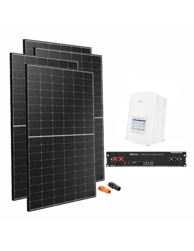 Serie Pro: vendita online Kit fotovoltaico monofase 3400W inverter Solis 3kW litio Dyness B4850 2.4kWh