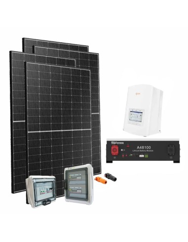 Serie Plus: vendita online Kit fotovoltaico monofase 3400W PLUS inverter Solis 3kW Dyness A48100 4.8kWh