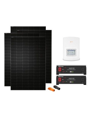 Serie Pro: vendita online Kit fotovoltaico monofase 6880W inverter Solis 6kW litio A48100 Dyness 9.6kWh