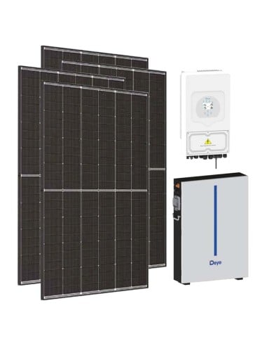 Serie Pro: vendita online Kit fotovoltaico monofase 4500W inverter Deye 3.6kW batteria litio RW-M6 6.14kWh