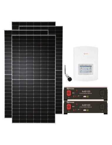 Serie Pro: vendita online Kit fotovoltaico monofase 7080W inverter Solis 6kW litio Dyness A48100 9.6kWh