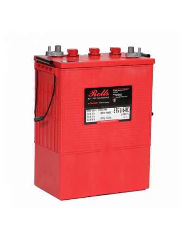 Batería 425Ah 6V flooded deep cycle Rolls Battery